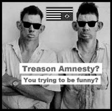 Treason Amnesty inbreds sunglasses BORDER 600