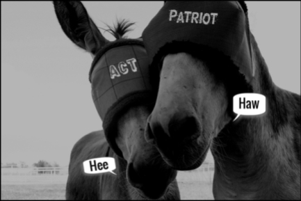 Donkey blindfold horse Patriot Act HEE HAW 600